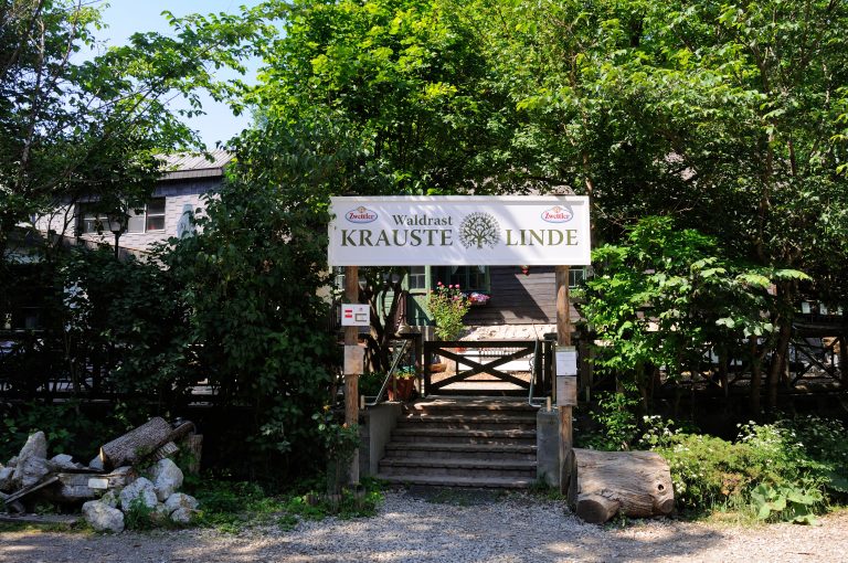 Waldrast Krauste Linde,