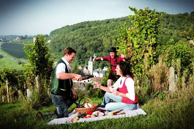 Entdecken Sie den Buschenschank Klimbacher in Klöch, picknick in den weinbergen