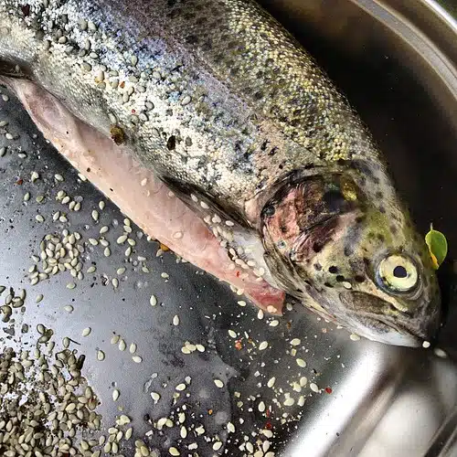 Forelle nach Art des Hauses bei der zubereitung frisch